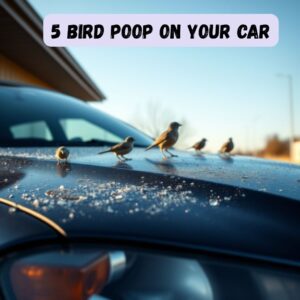 5-spiritual-meanings-of-bird-poop-on-your-car 5 Spiritual Meanings of Bird Poop on Your Car