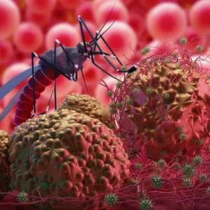 Malaria